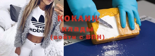 твердый Заводоуковск