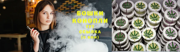 твердый Заводоуковск