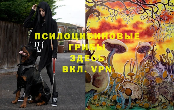твердый Заводоуковск