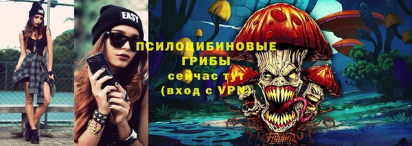 твердый Заводоуковск