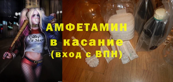 твердый Заводоуковск