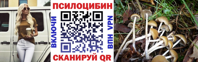 Псилоцибиновые грибы Psilocybine cubensis  Новомосковск 